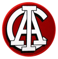 Escudo2_cai_copia